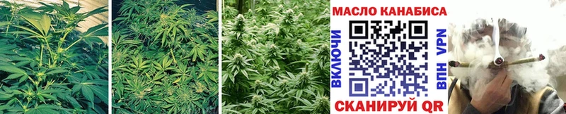 ТГК THC oil  блэк спрут вход  Алейск 